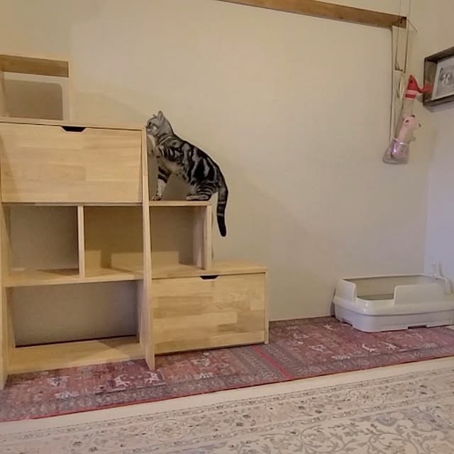 lovepeaceさんの部屋