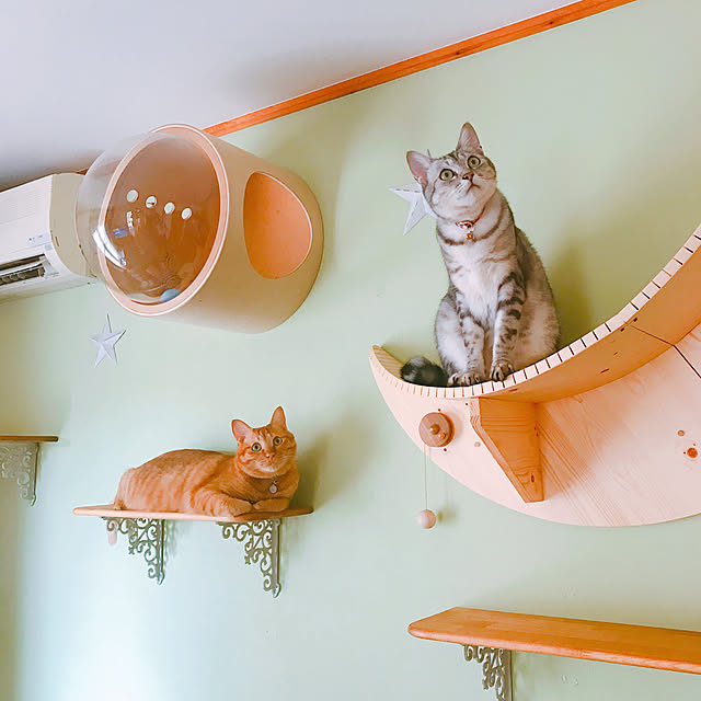 mako0301さんの実例写真