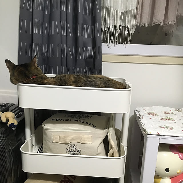 syutanさんの実例写真