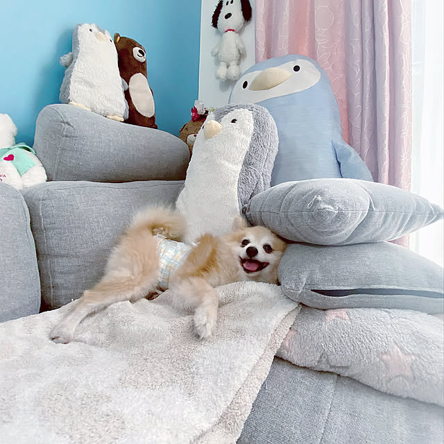 mimiさんの実例写真