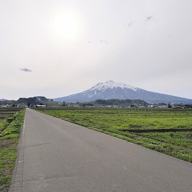 実例写真