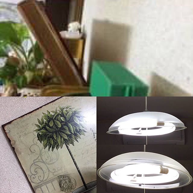 AKANEさんの実例写真