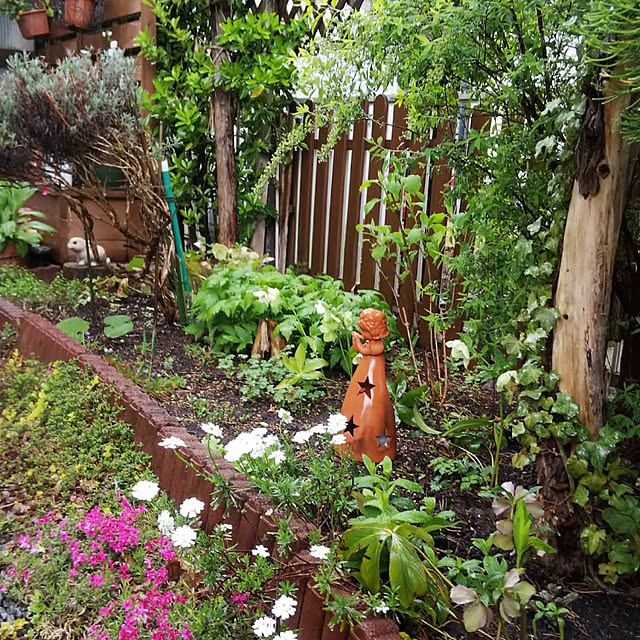 chiikokunさんの実例写真