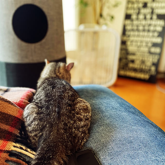 harutw200さんの実例写真