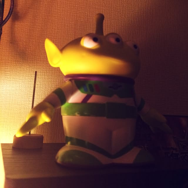Akaneさんの実例写真