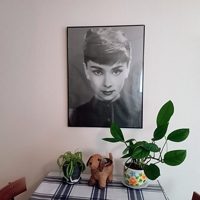 moruさんの部屋