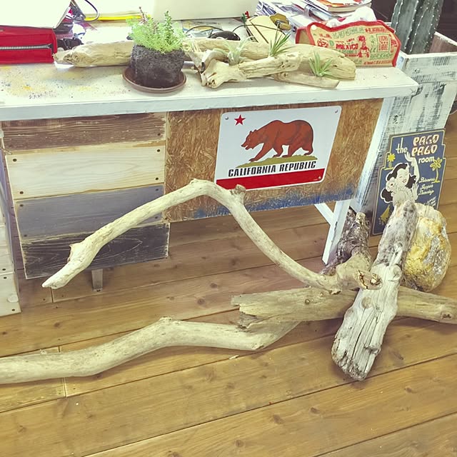 机/カフェ風/雑貨/多肉植物/ハンドメイド...などのインテリア実例 - 2016-10-01 22:48:44