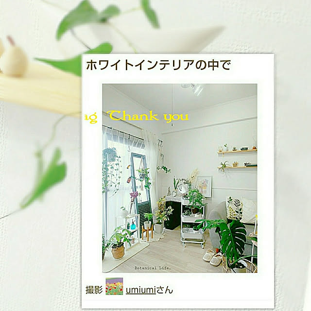 umiumiさんの実例写真