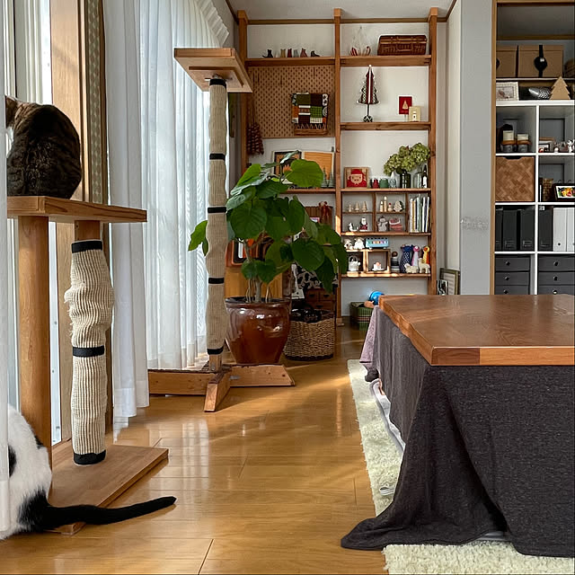 nobikoさんの部屋