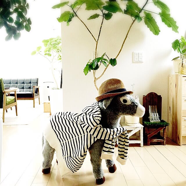chihomilkさんの実例写真