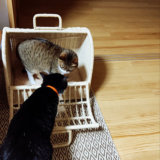 haruさんの部屋
