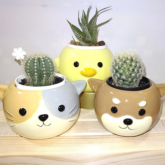 katさんの実例写真