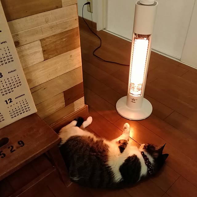 Rettiさんの実例写真
