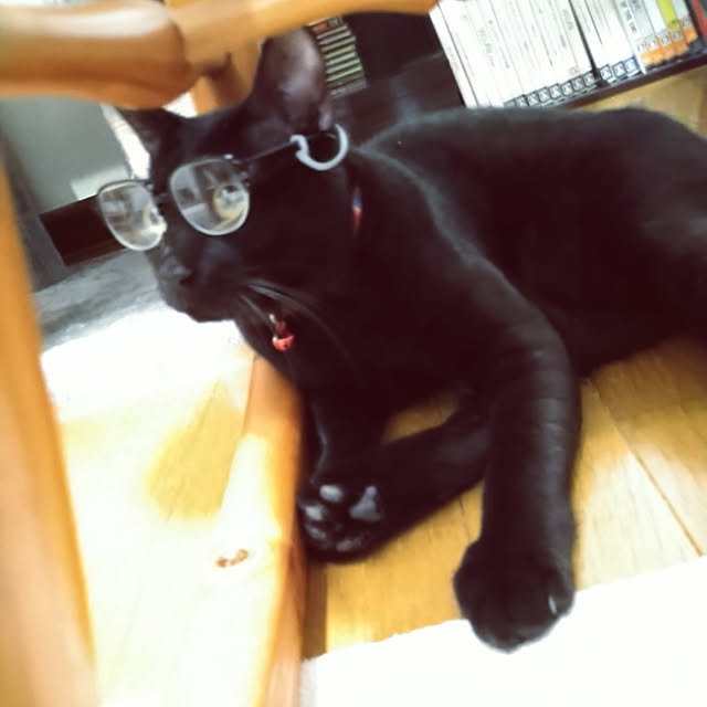 Tさんの実例写真