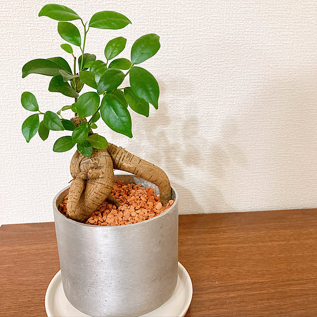 reiroom2020さんの実例写真