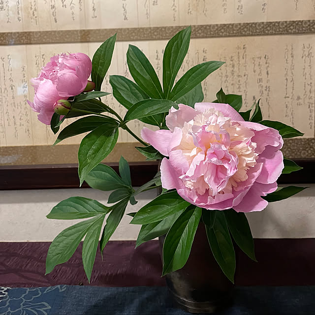 mamizaさんの実例写真