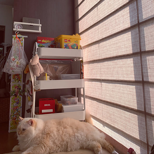 syuri_cocoさんの実例写真