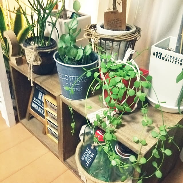 satominさんの実例写真