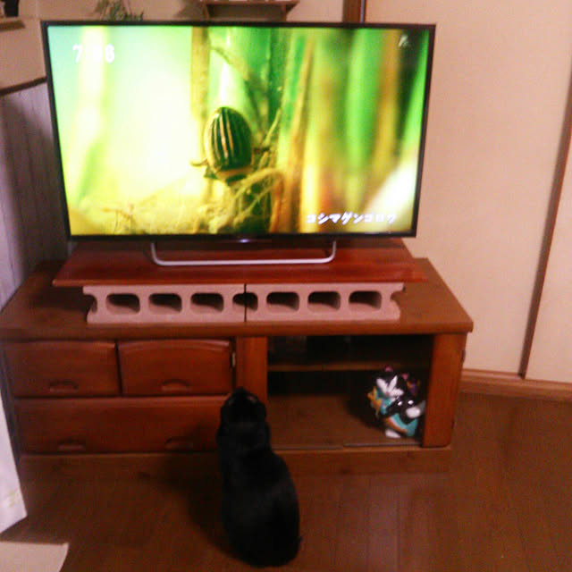 Tomopさんの実例写真