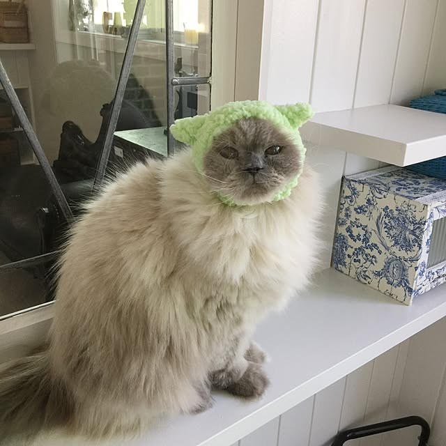 yuchiさんの実例写真