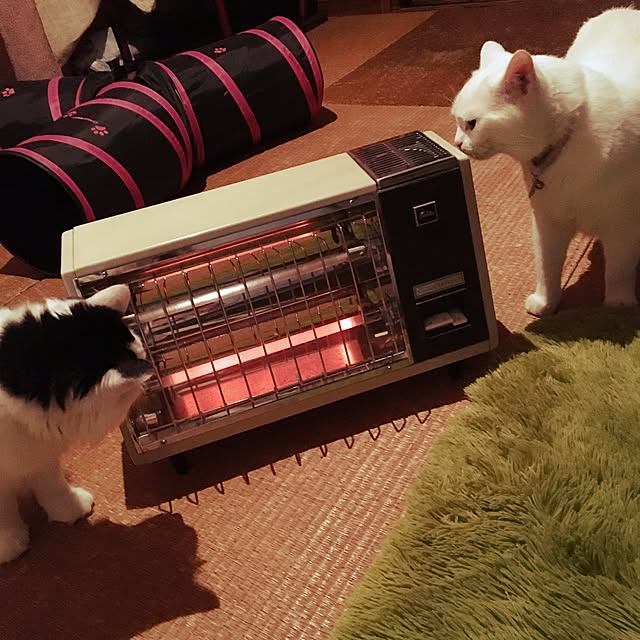 matatabi88さんの実例写真