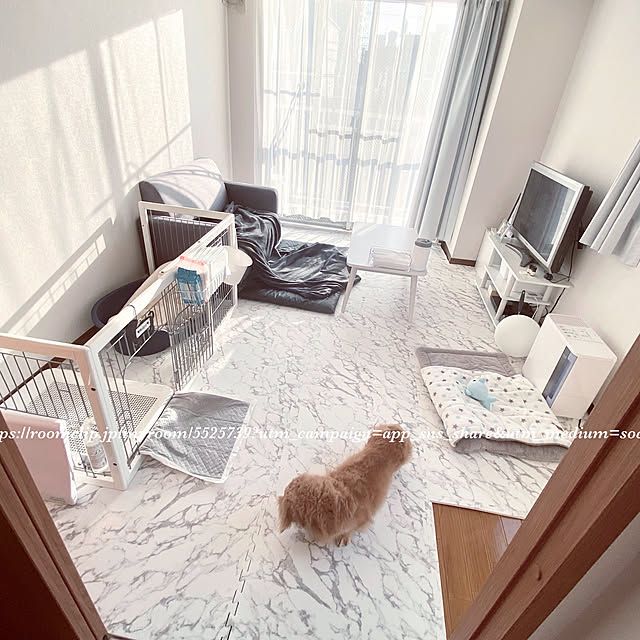 locaさんの実例写真