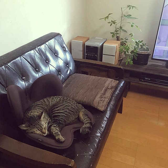 mikan161さんの実例写真