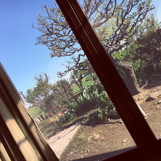 ri_kunさんの実例写真