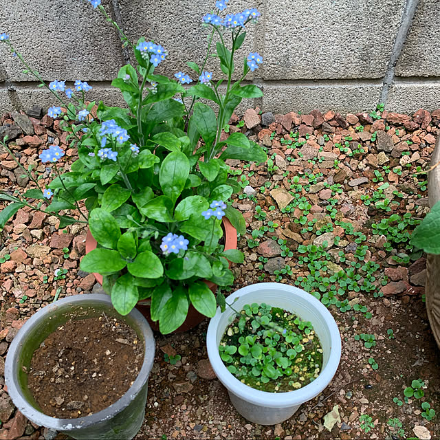 kekokekoさんの実例写真