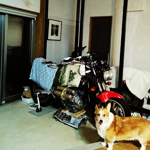 chataroさんの実例写真