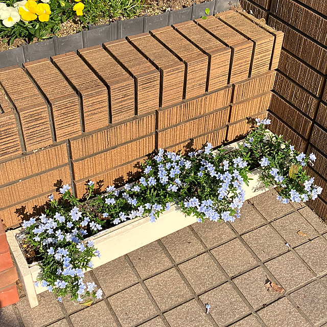 maron915さんの部屋