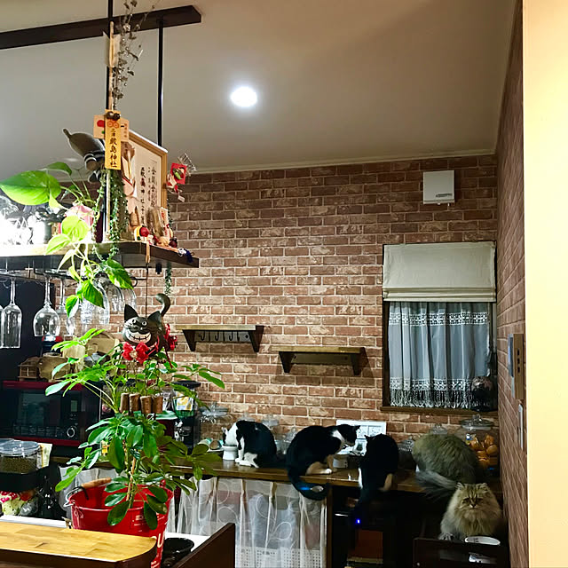 butachanさんの実例写真