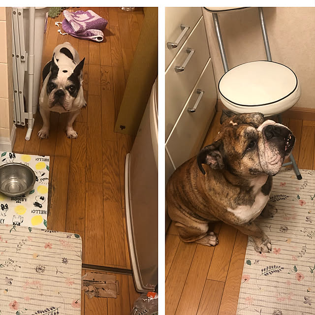 chi_gogaさんの実例写真