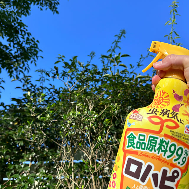 Shiguさんの実例写真
