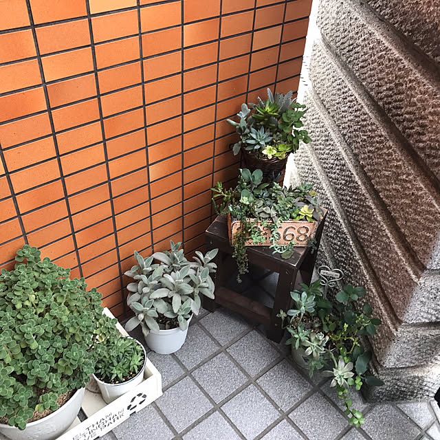 玄関/入り口/多肉植物/DIYのインテリア実例 - 2017-09-26 22:11:11