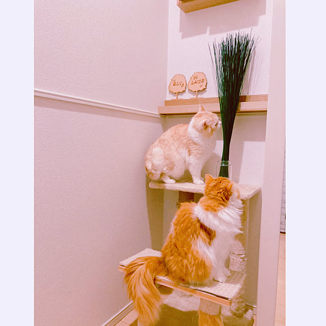 H.Tさんの実例写真