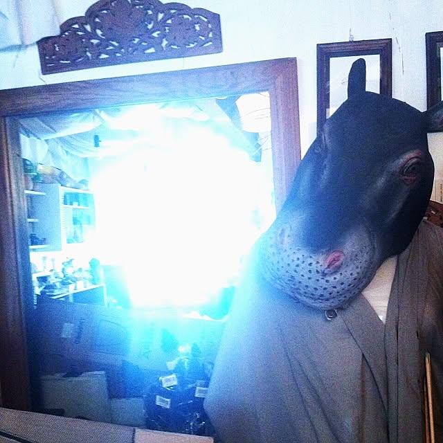 Mayumiさんの実例写真