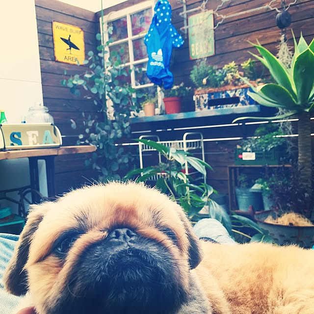 Eijiさんの実例写真