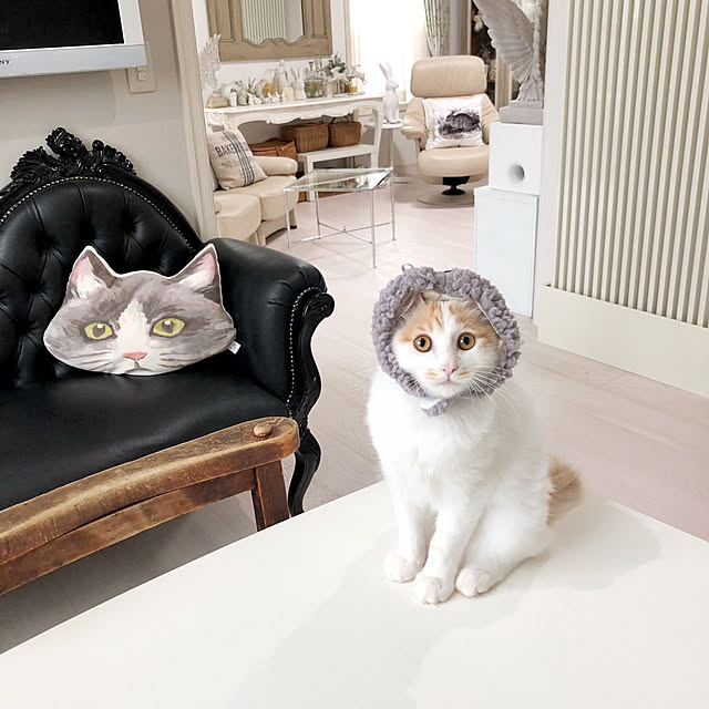 yuchiさんの実例写真