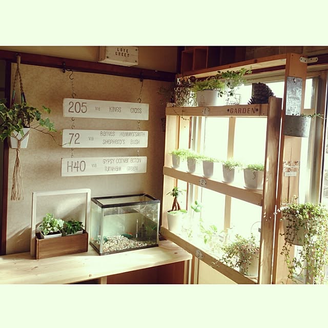 miporin0711さんの実例写真