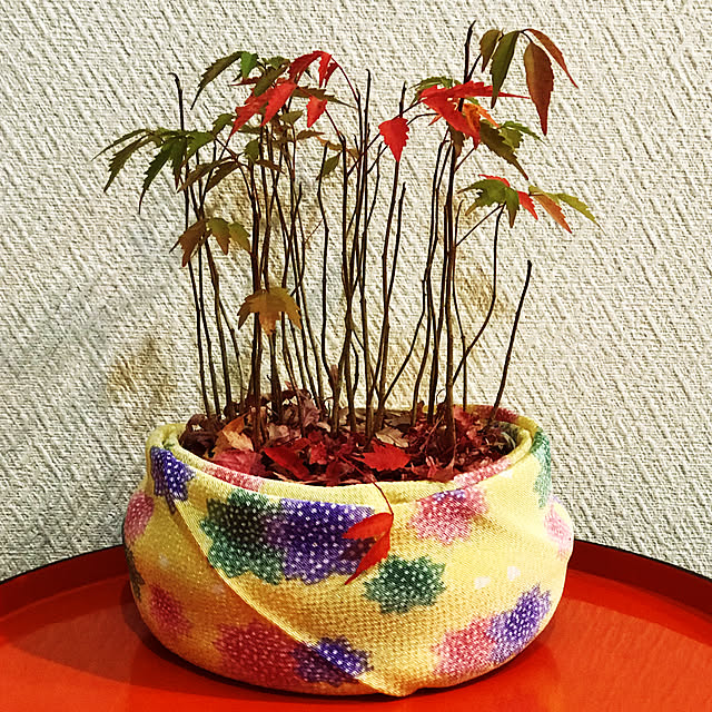 fuyiqian1026さんの実例写真