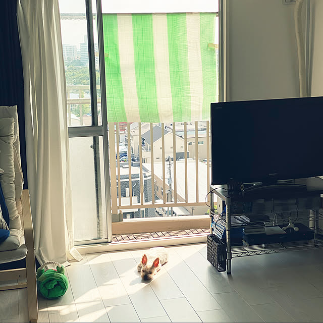 ohanaさんの実例写真