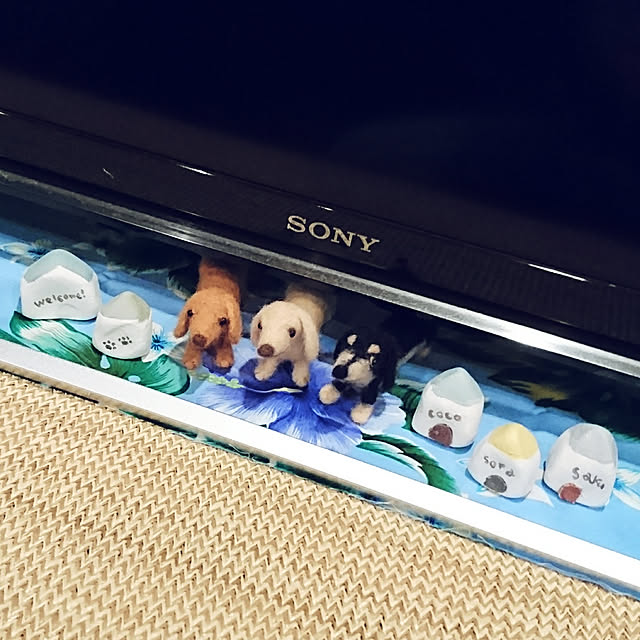 cocosorasakuさんの実例写真