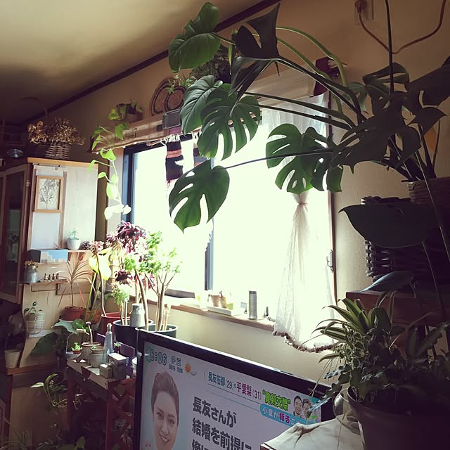 Norikoさんの実例写真