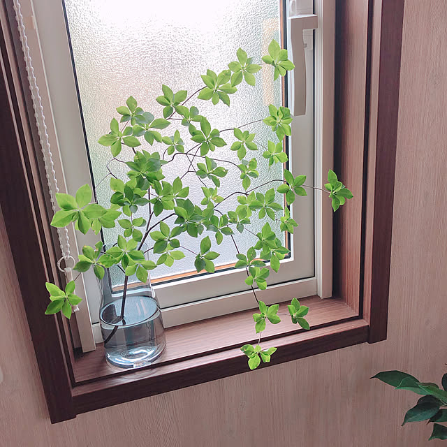 reo..m.aさんの実例写真