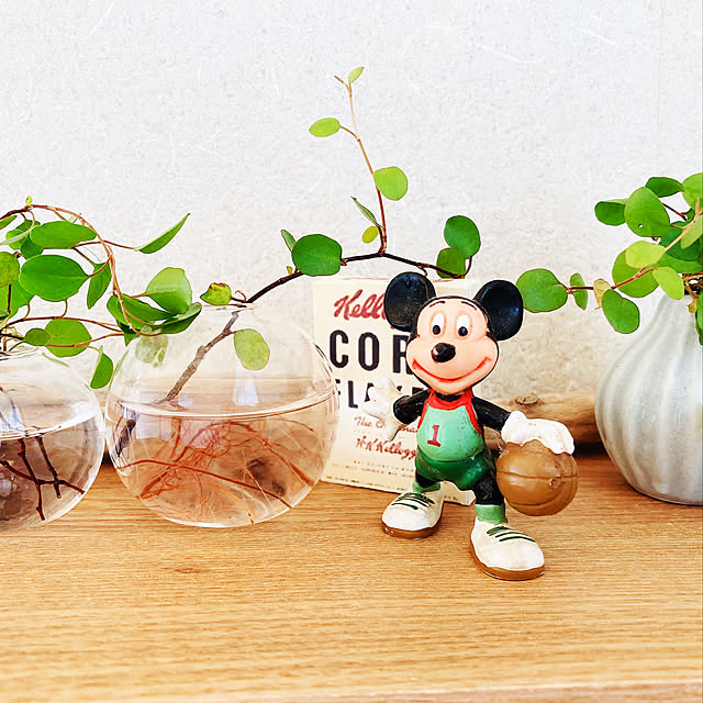 tokkuさんの実例写真