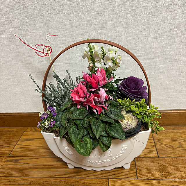 chIoeさんの実例写真