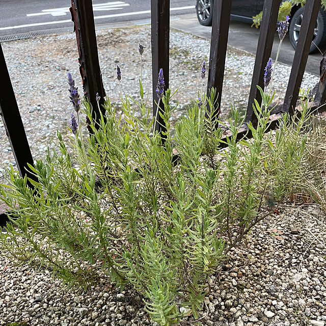 shin0719さんの部屋