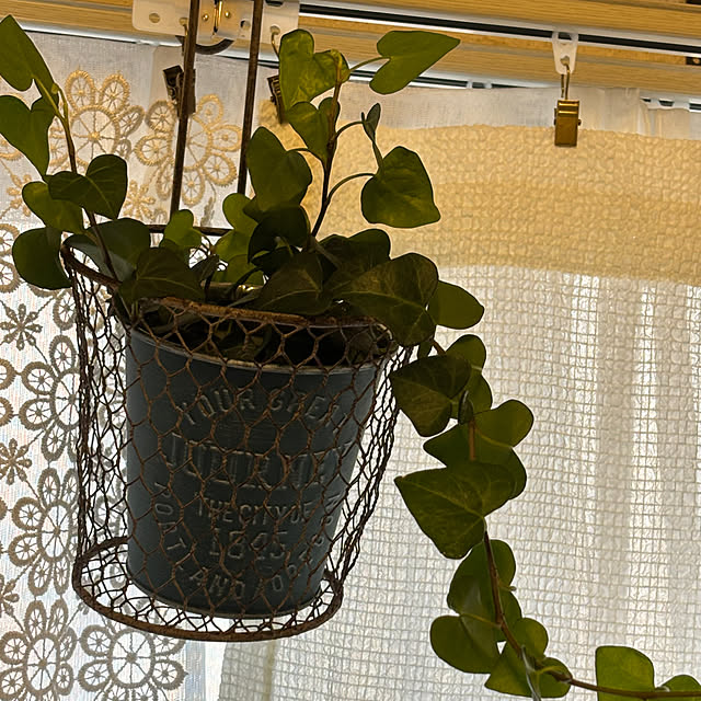 canetteさんの部屋