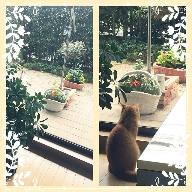 rumiさんの実例写真